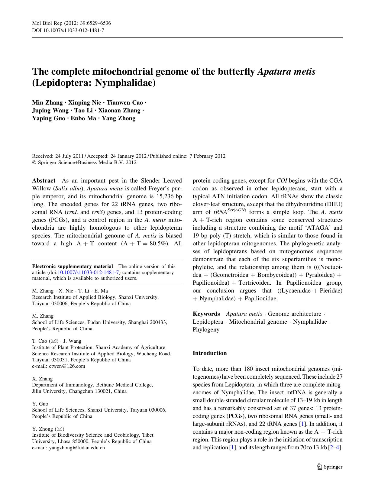 6529-6536 by Unknown