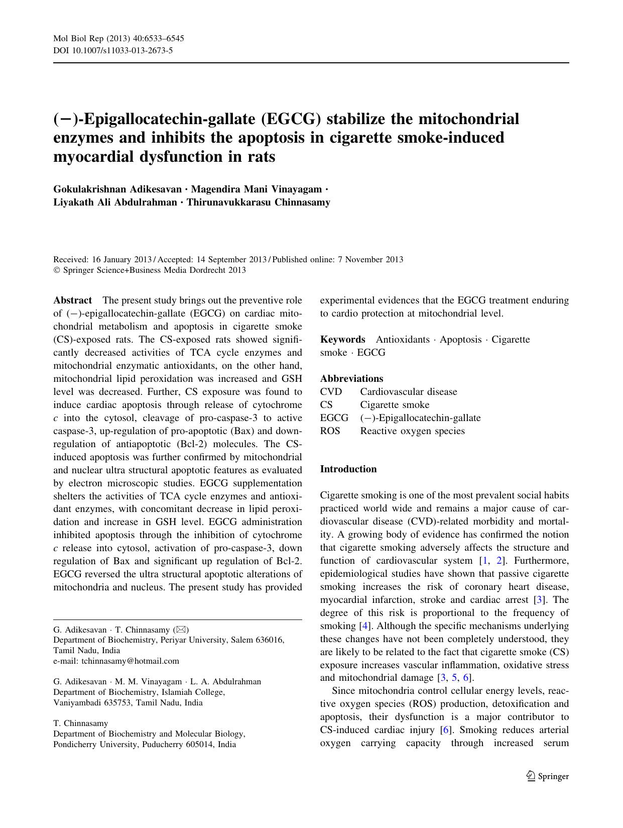 6533-6545 by Unknown