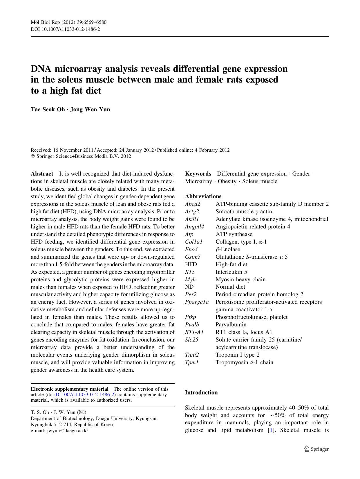 6569-6580 by Unknown