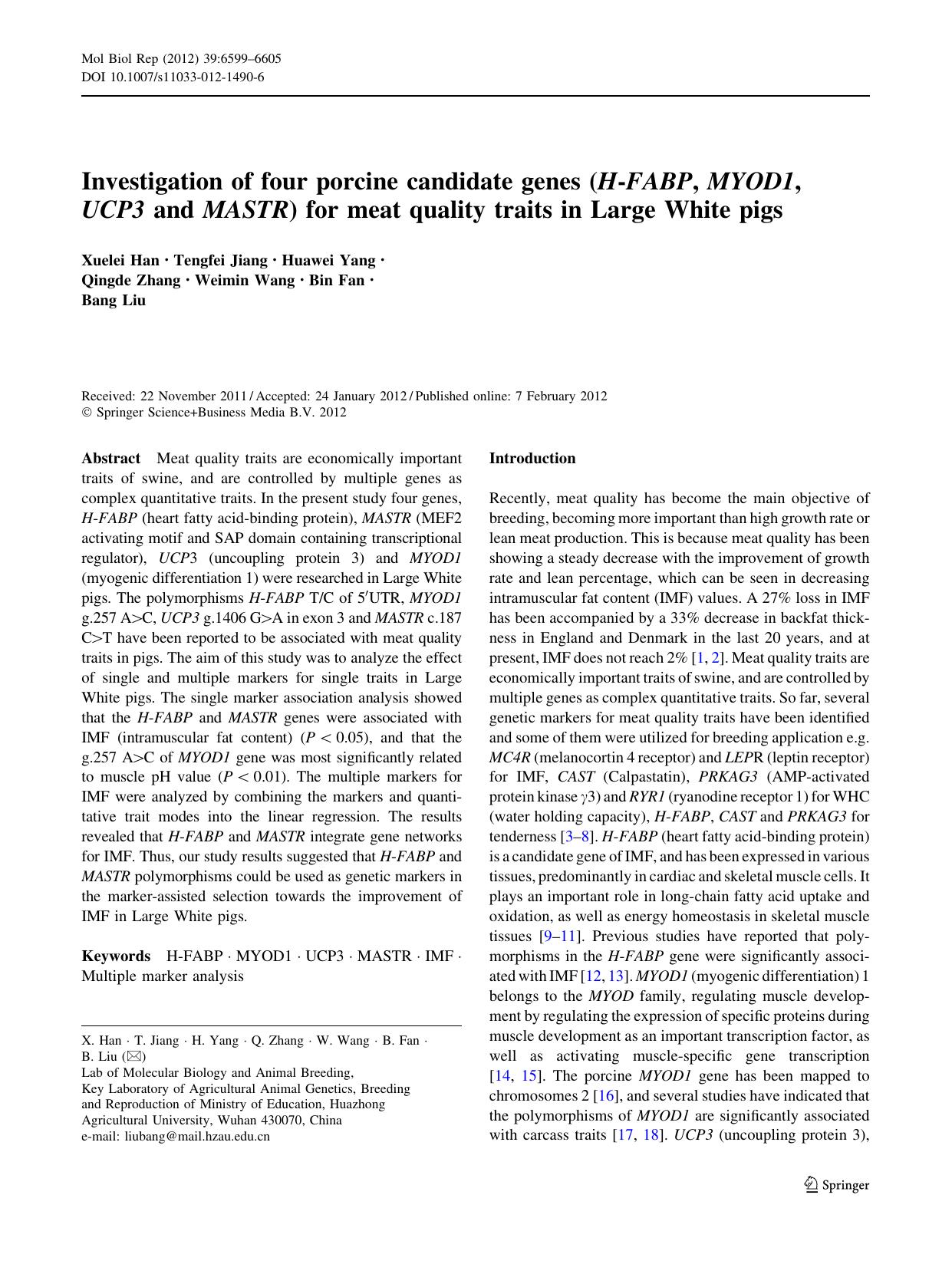 6599-6605 by Unknown