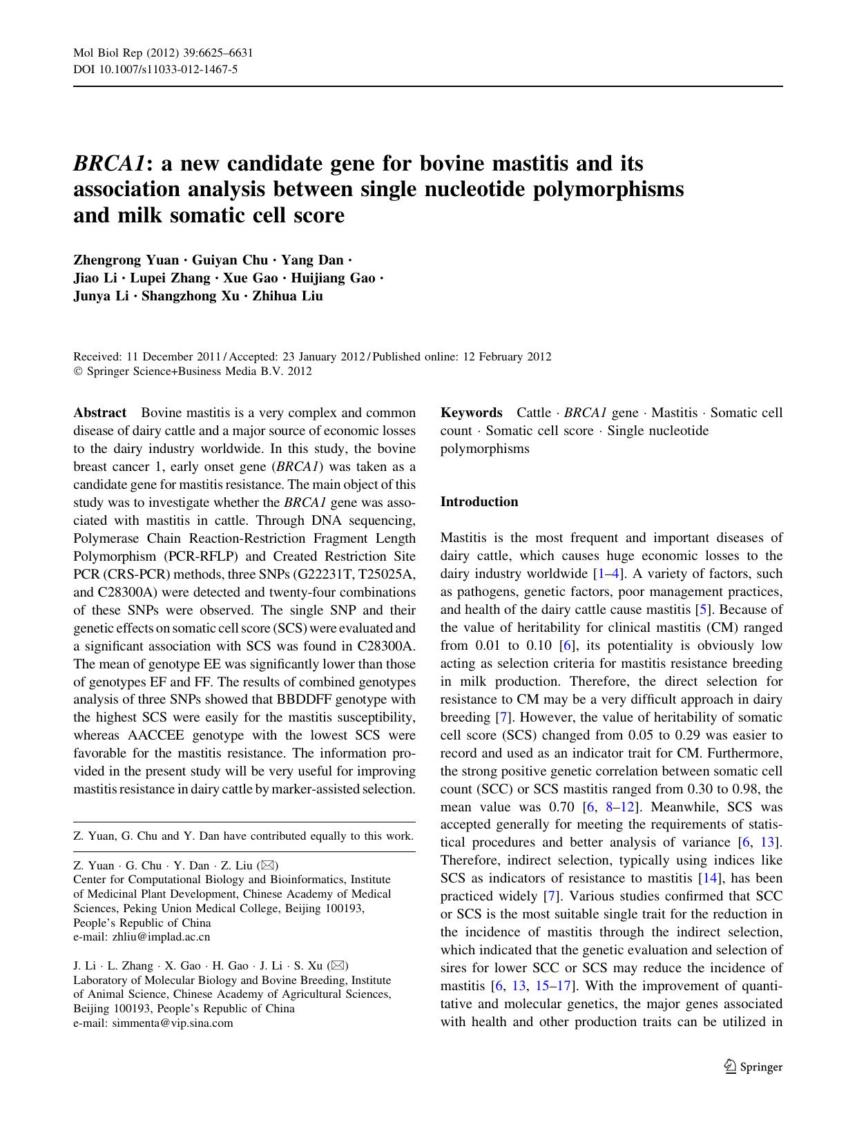 6625-6631 by Unknown