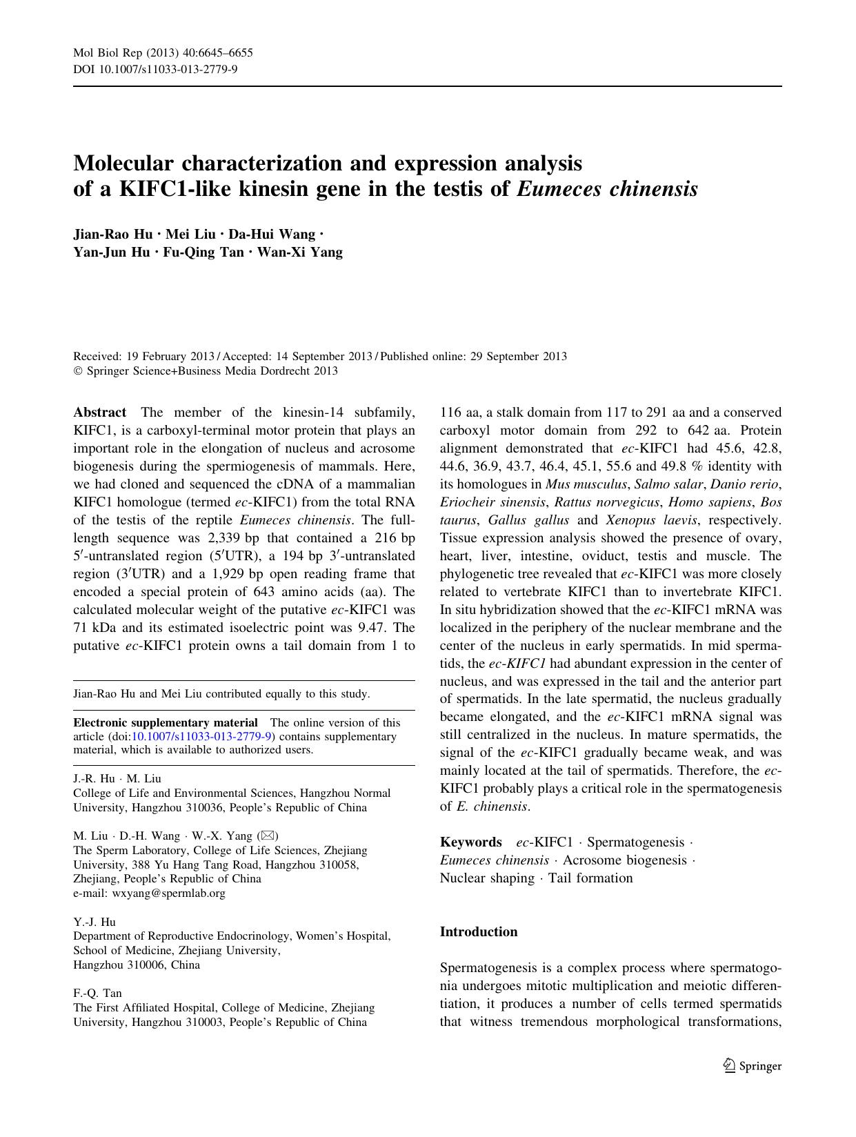 6645-6655 by Unknown