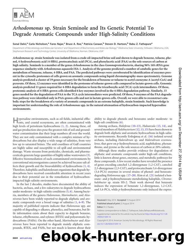 6664-6676 by Unknown