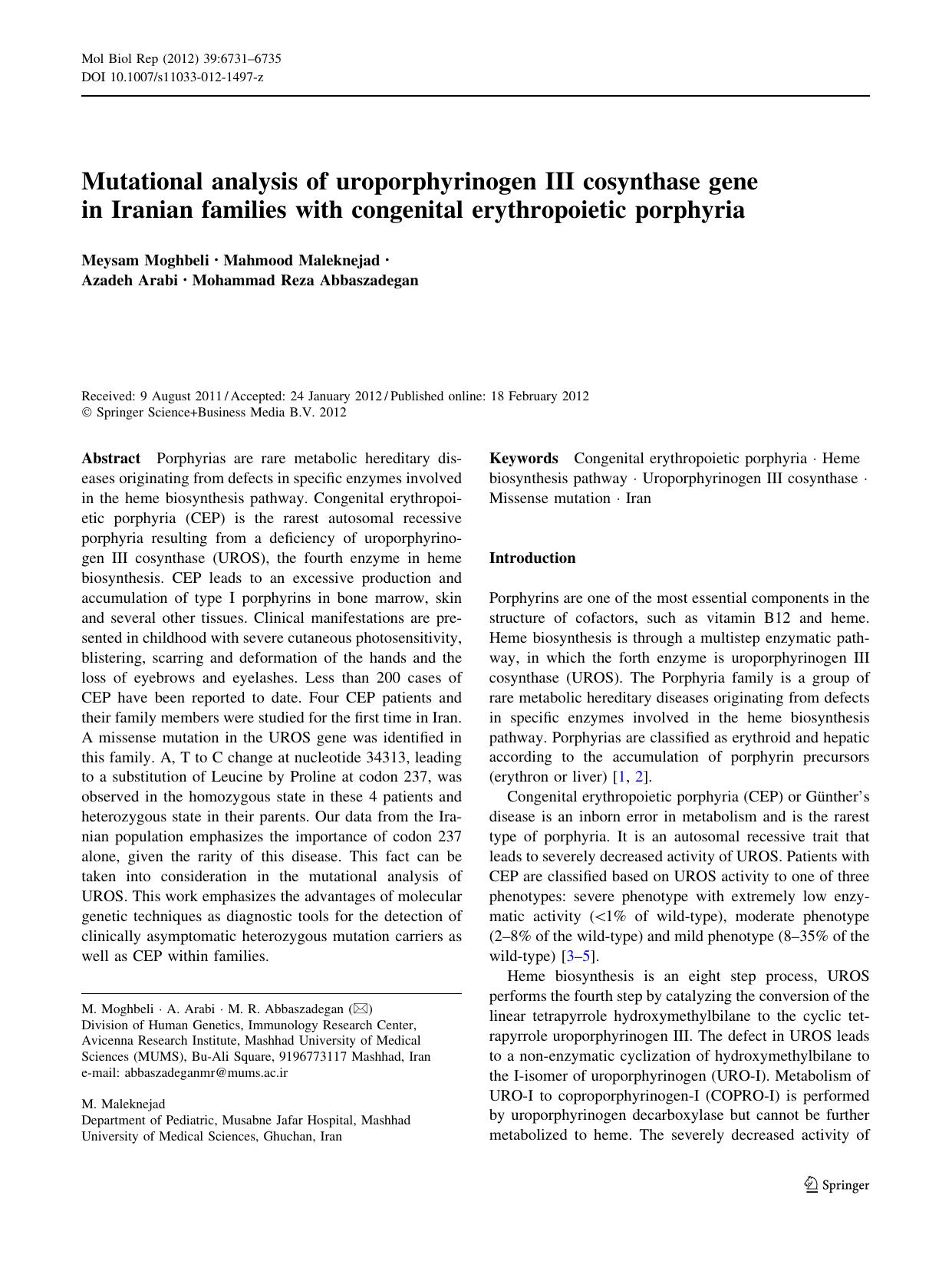 6731-6735 by Unknown