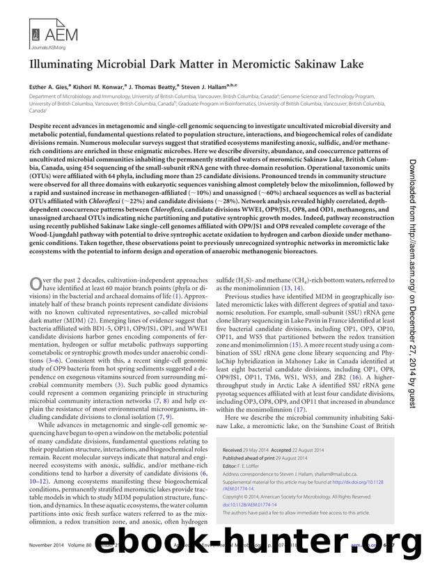 6807-6818 by Unknown