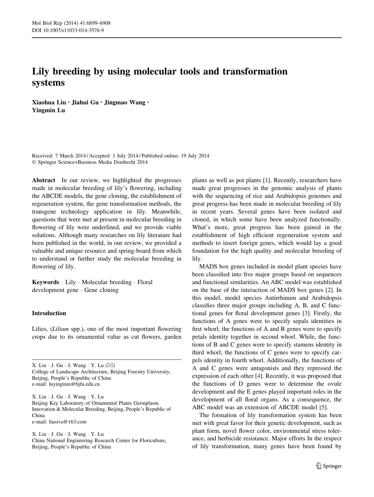 6899-6908 by Unknown