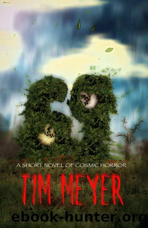 69: A Short Novel of Cosmic Horror by Tim Meyer