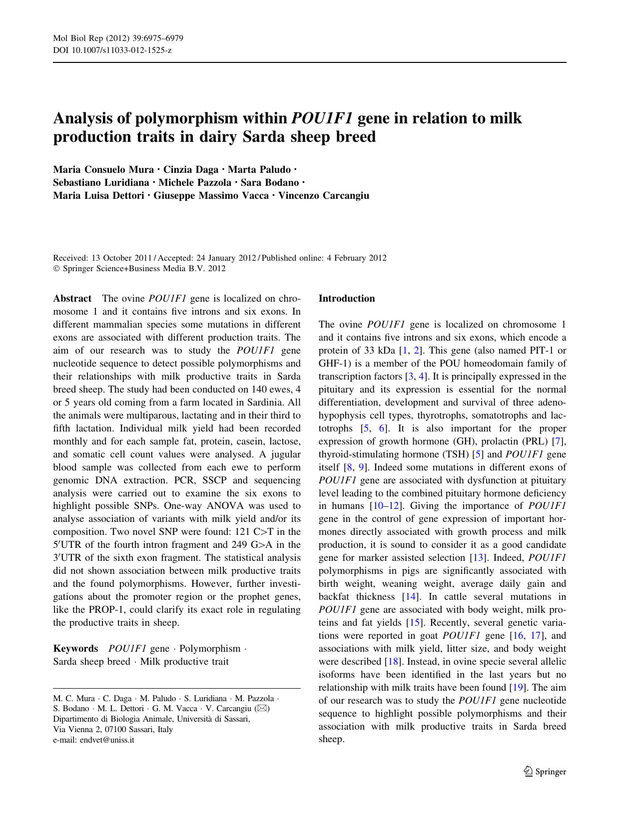 6975-6979 by Unknown