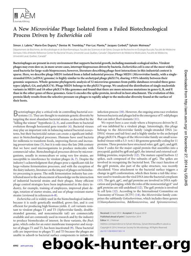 6992-7000 by Unknown