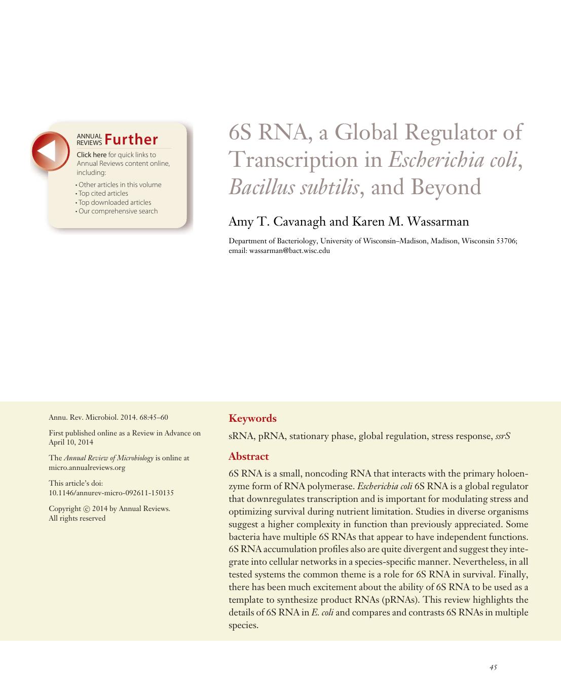 6S RNA, a Global Regulator of Transcription in Escherichia coli, Bacillus subtilis, and Beyond by Amy T. Cavanagh and Karen M. Wassarman