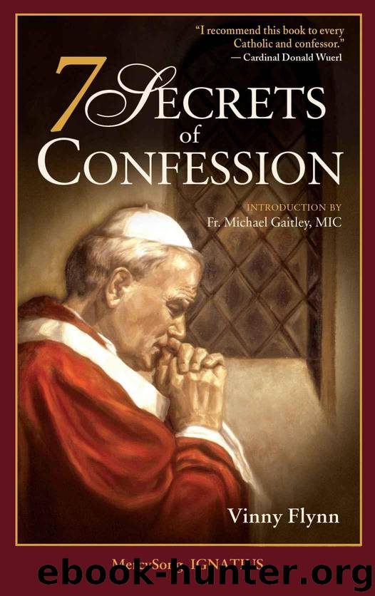 7 Secrets of Confession by Flynn Vinny