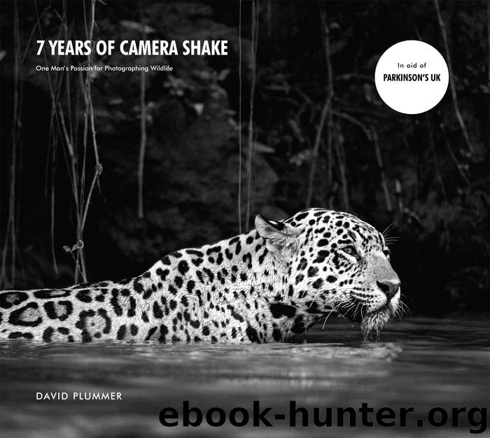 7 Years of Camera Shake by David Plummer