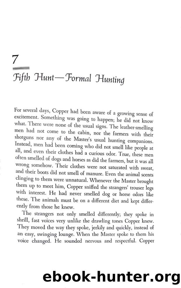 7. Fifth Hunt - Formal Hunting by Formal Hunting