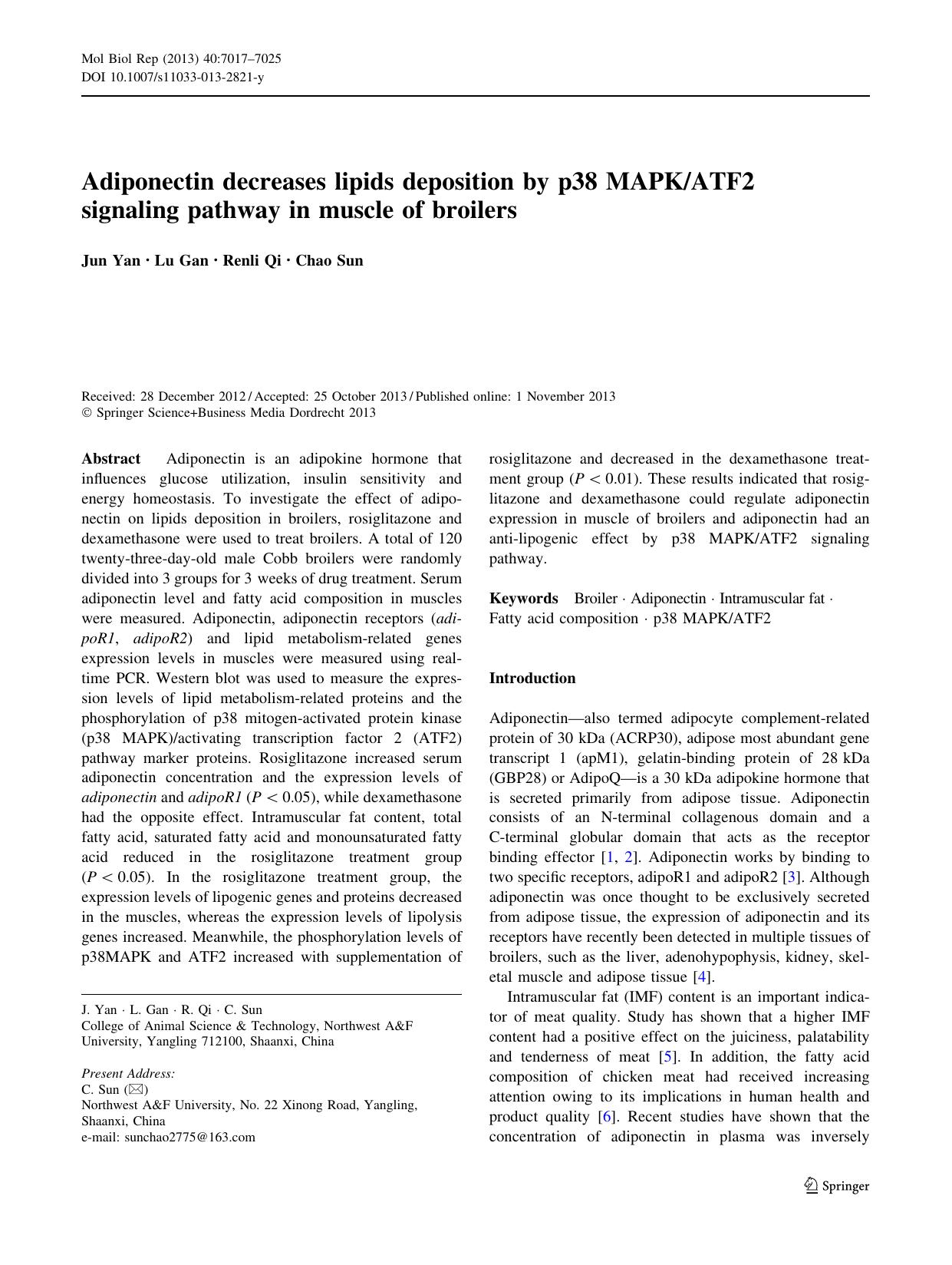 7017-7025 by Unknown