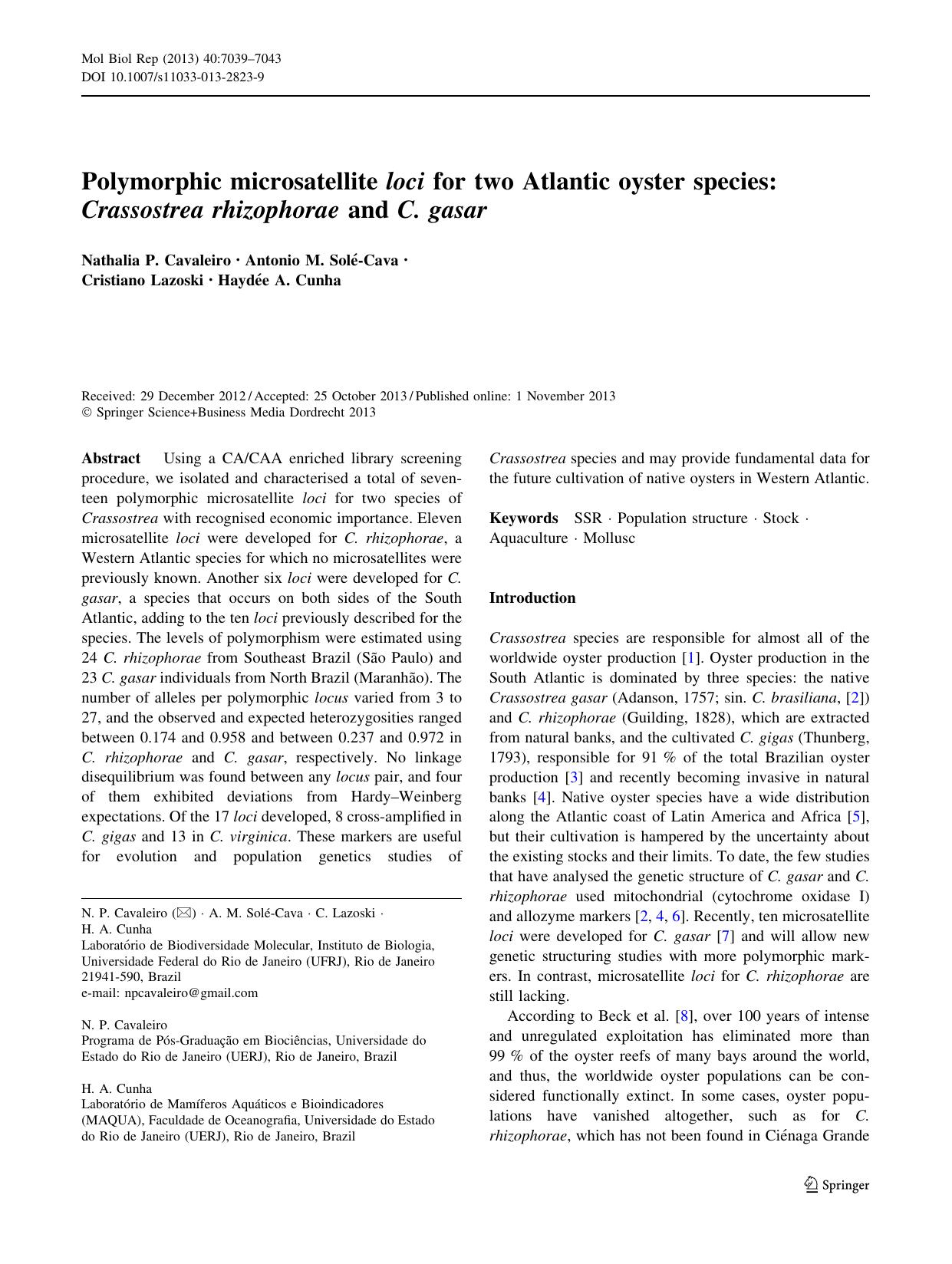 7039-7043 by Unknown