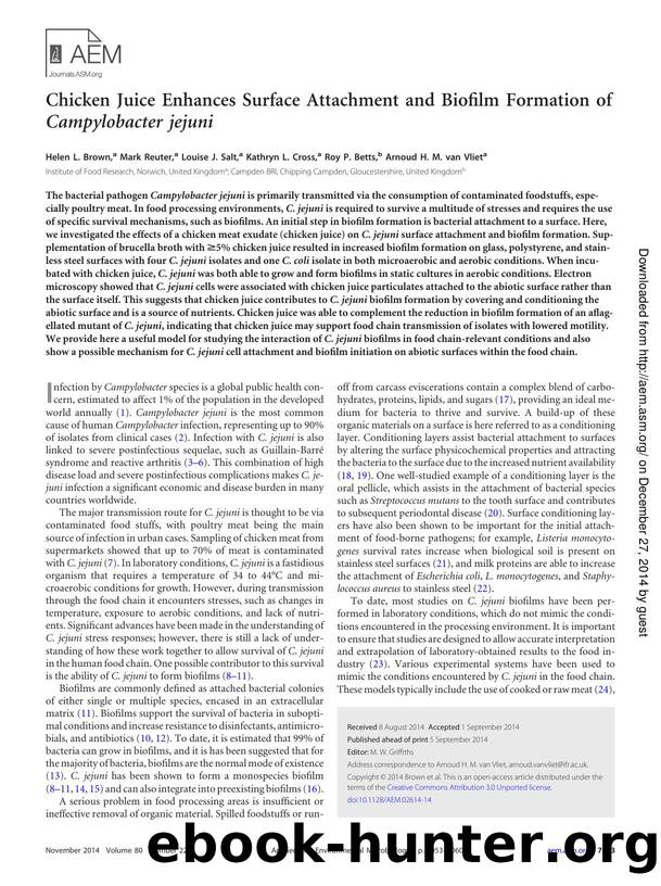 7053-7060 by Unknown