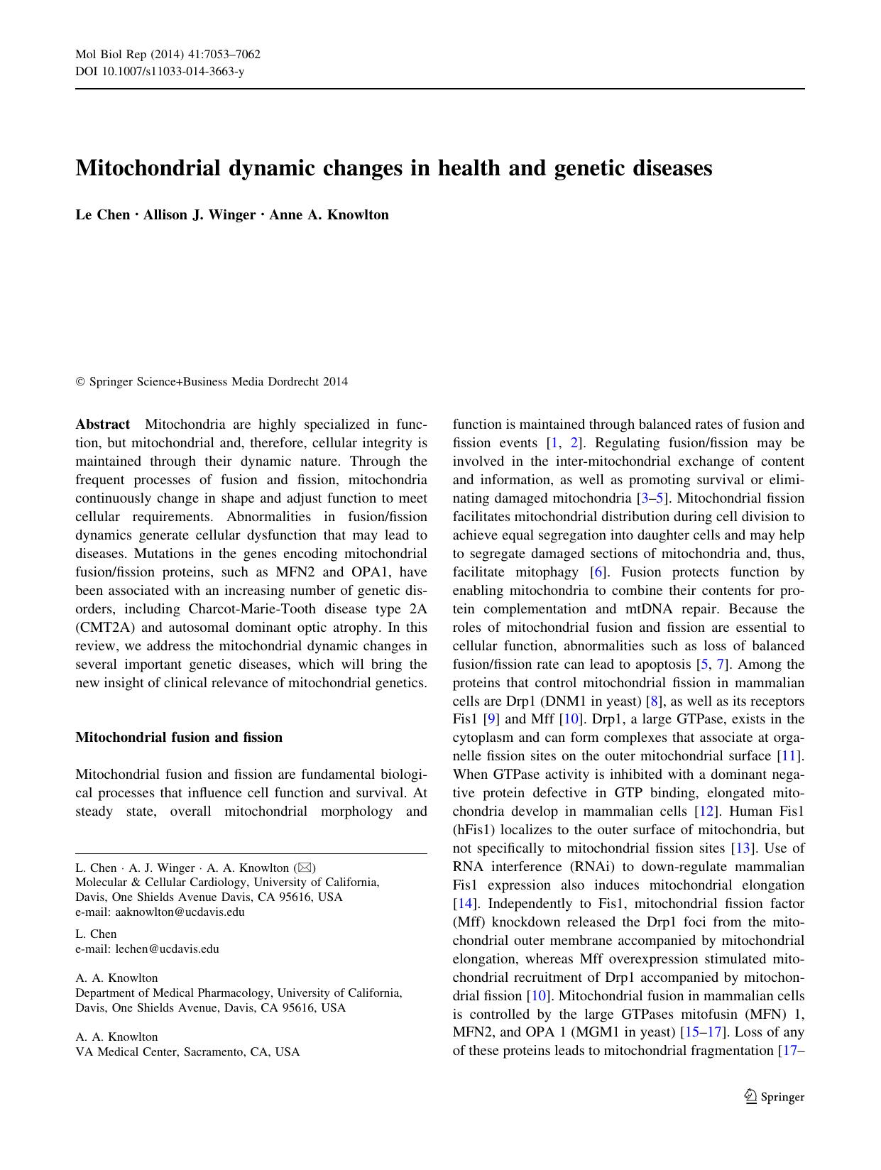 7053-7062 by Unknown