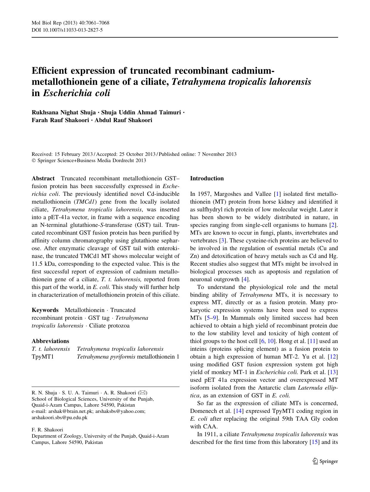 7061-7068 by Unknown