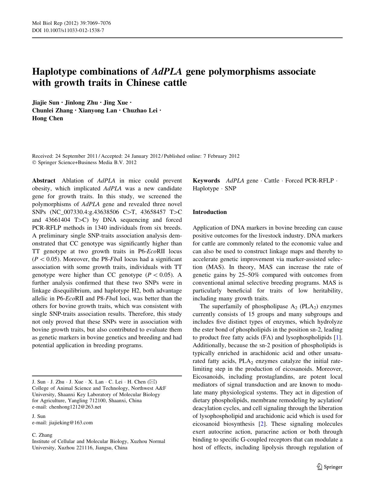 7069-7076 by Unknown