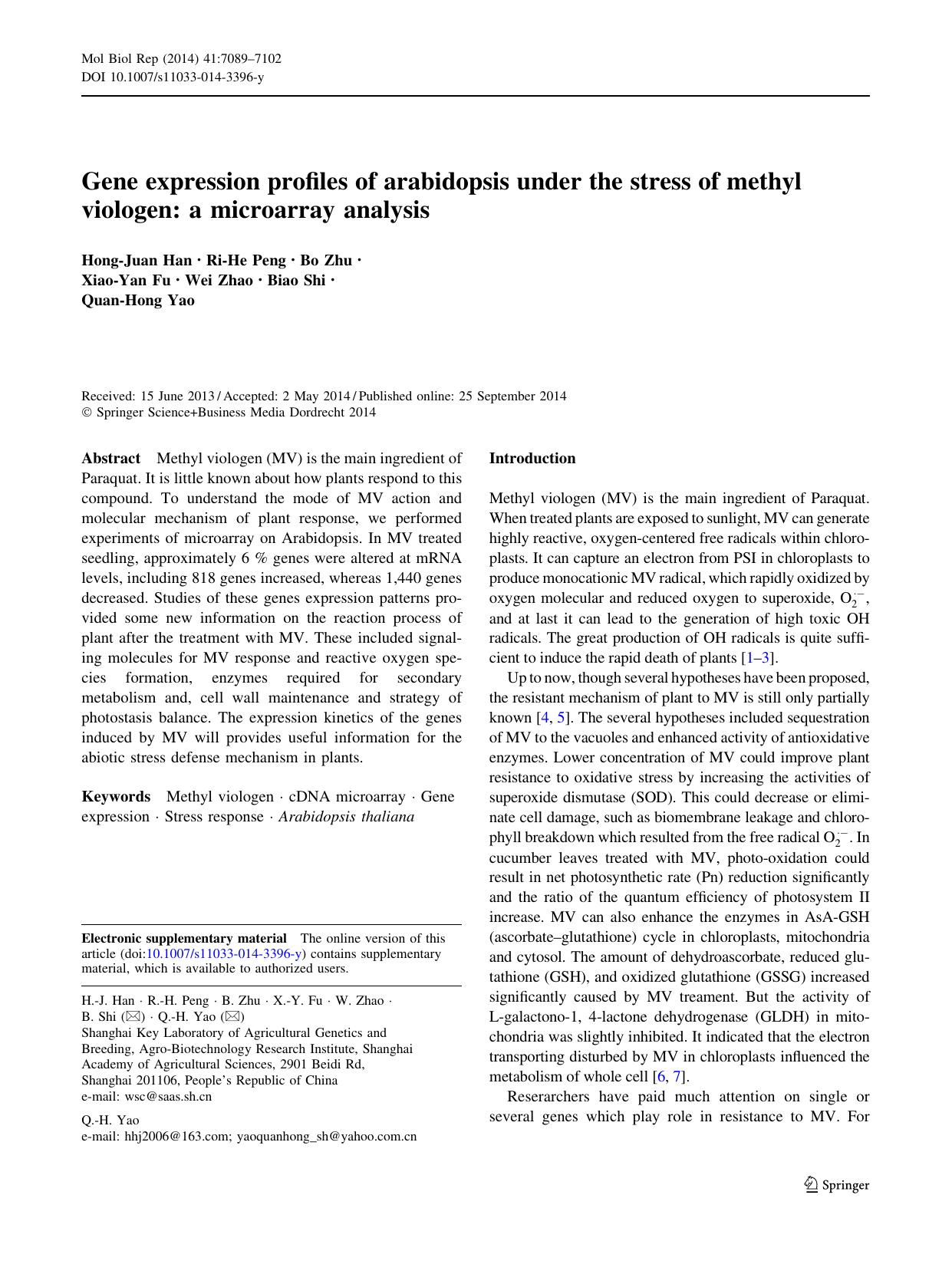 7089-7102 by Unknown