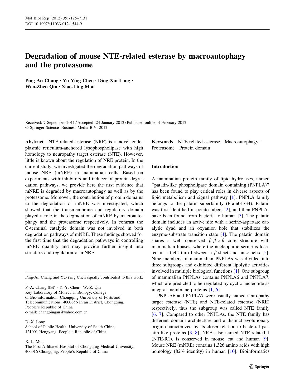 7125-7131 by Unknown