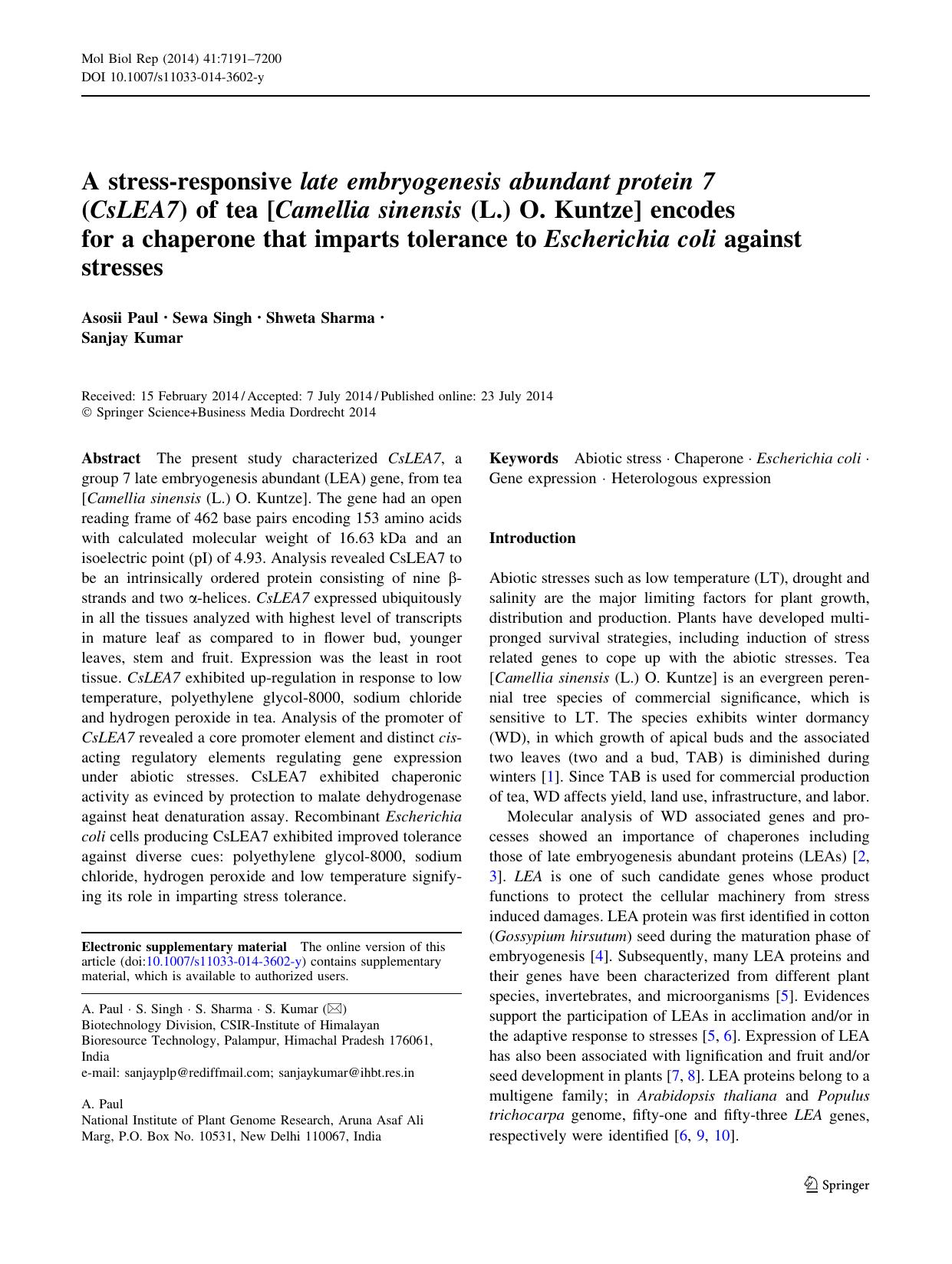 7191-7200 by Unknown