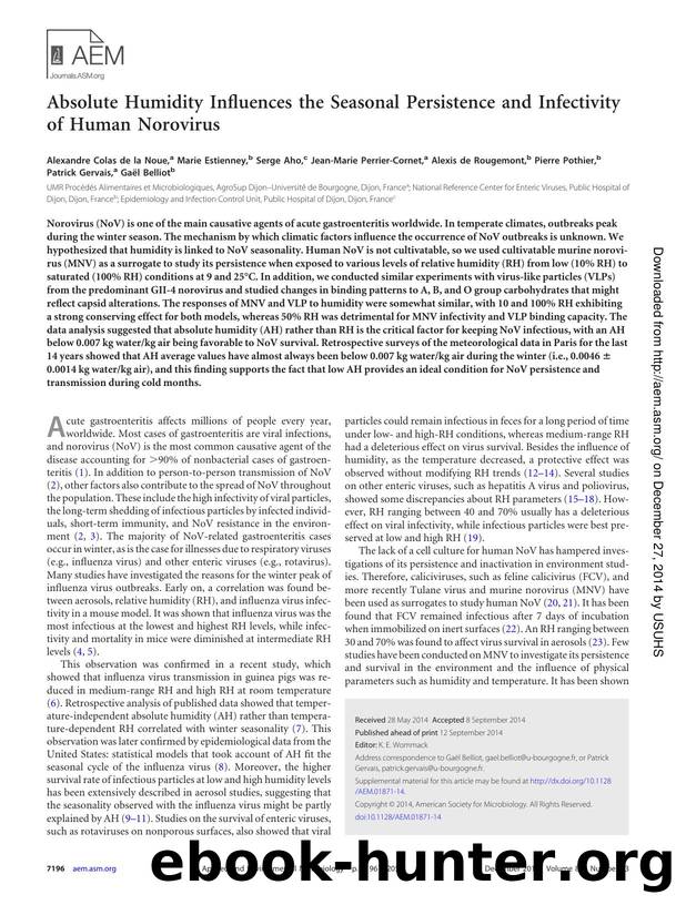 7196-7205 by Unknown