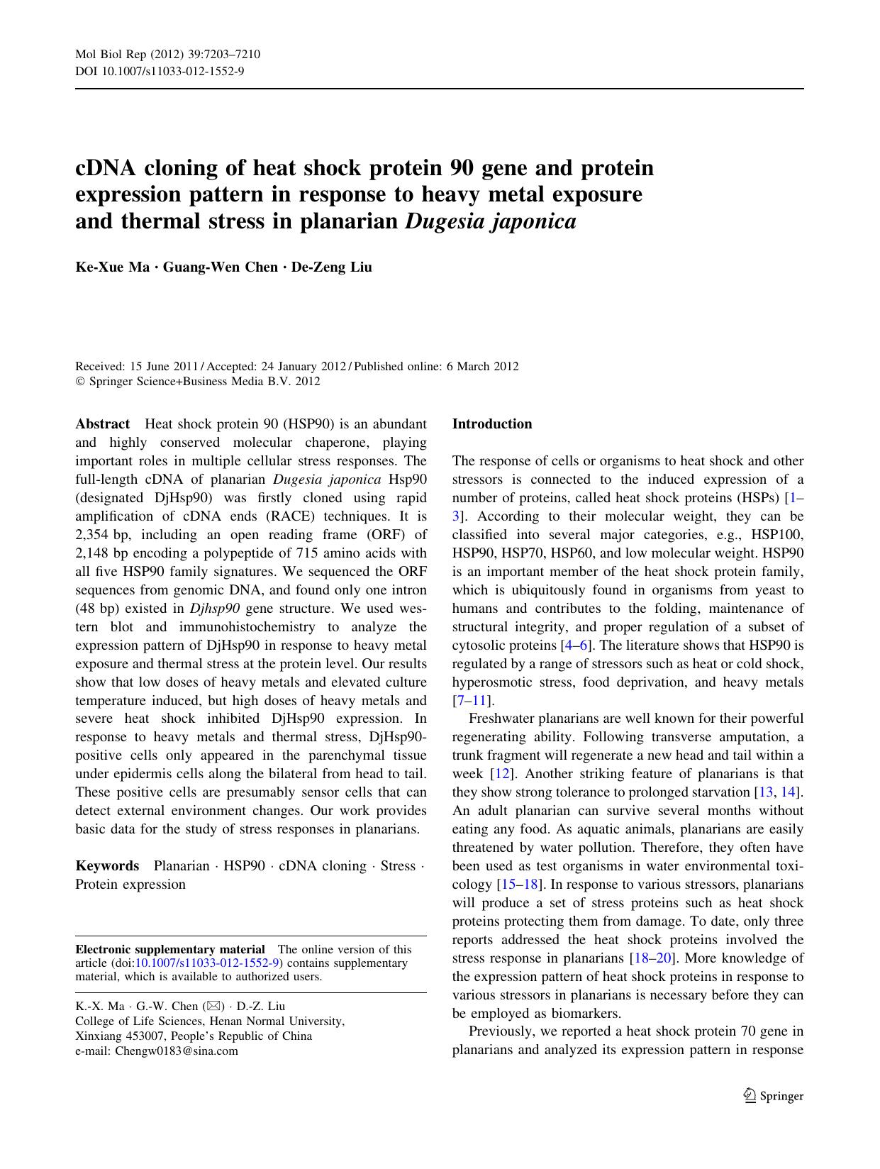 7203-7210 by Unknown