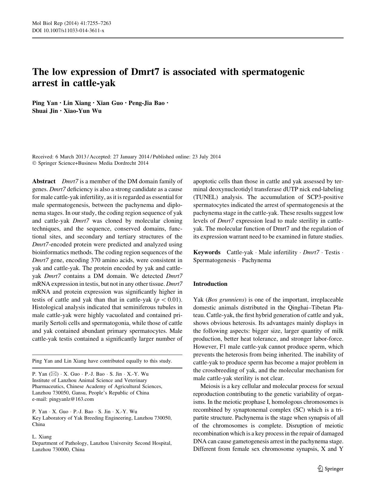 7255-7263 by Unknown