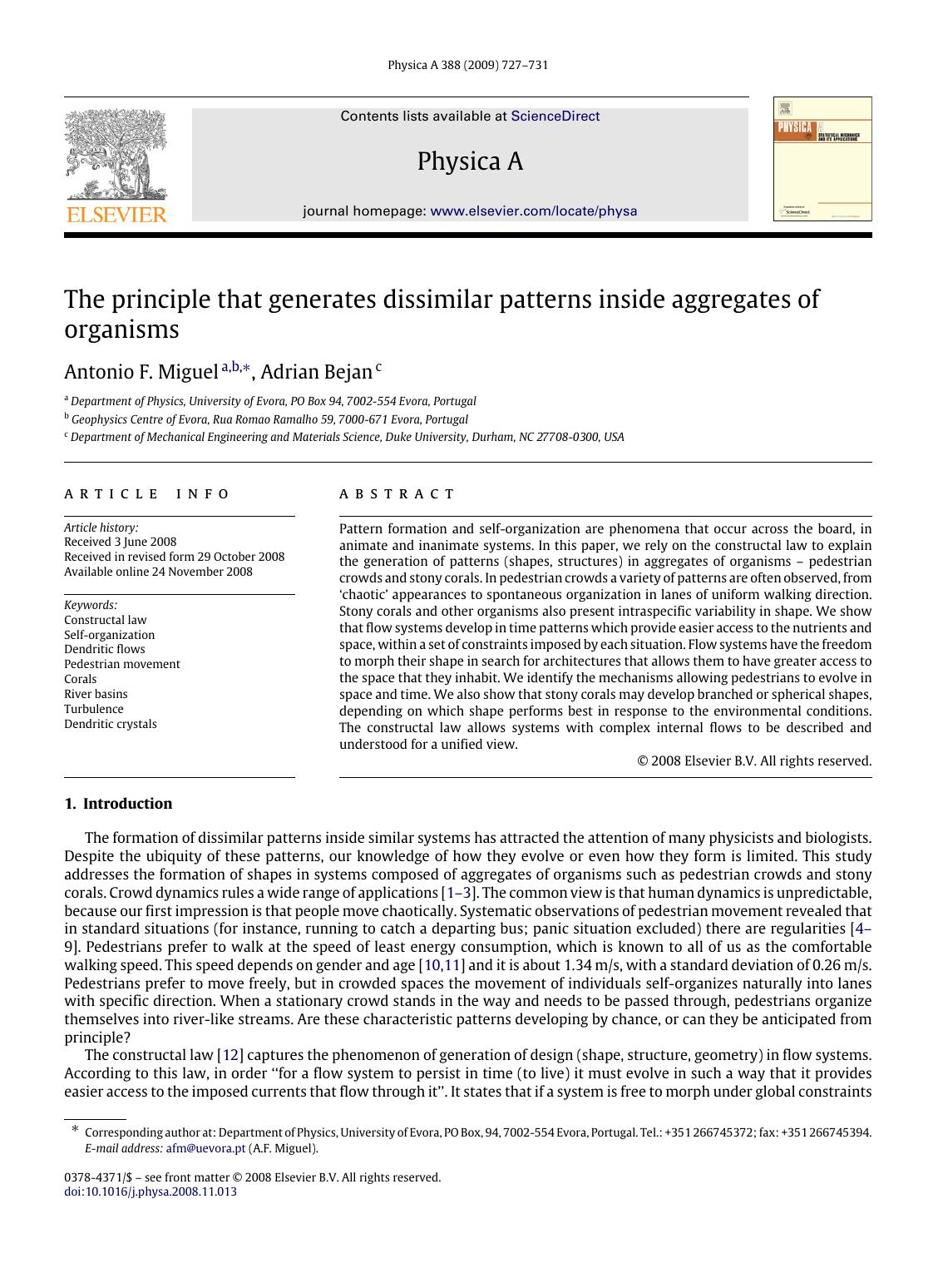 727-731 by A.F. Miguel; A. Bejan