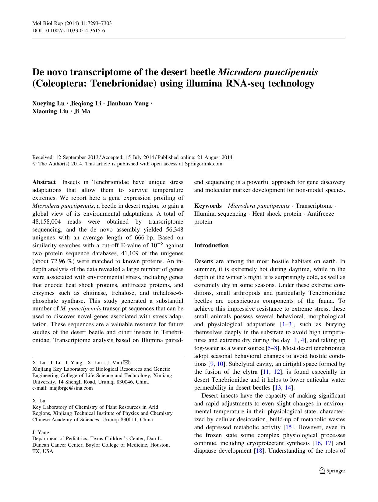 7293-7303 by Unknown