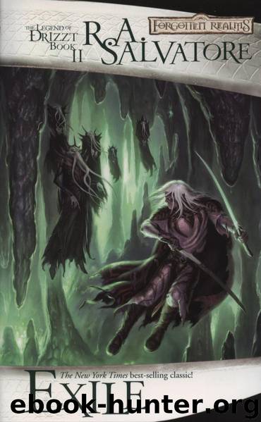 73.02 Exile by R. A. Salvatore