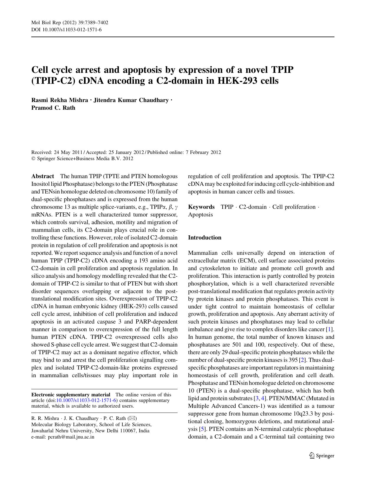 7389-7402 by Unknown