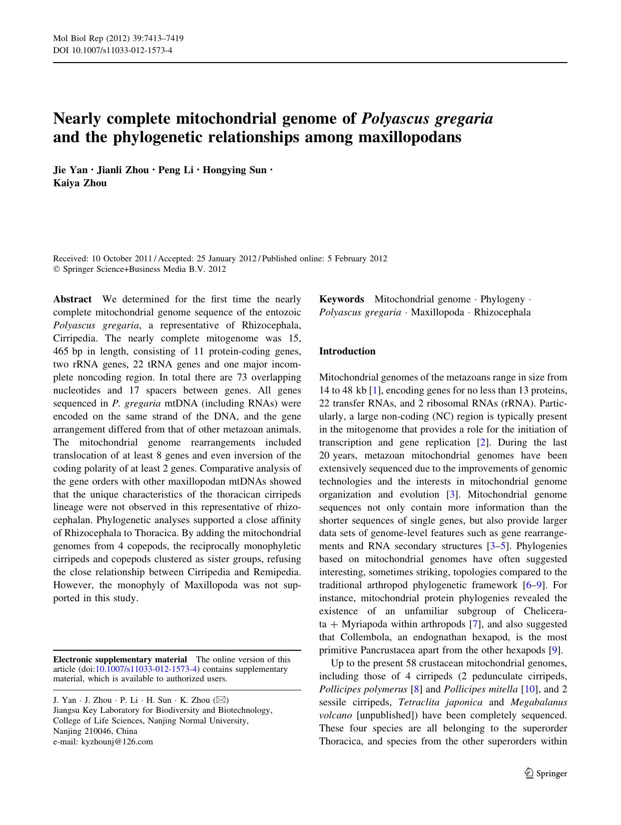 7413-7419 by Unknown