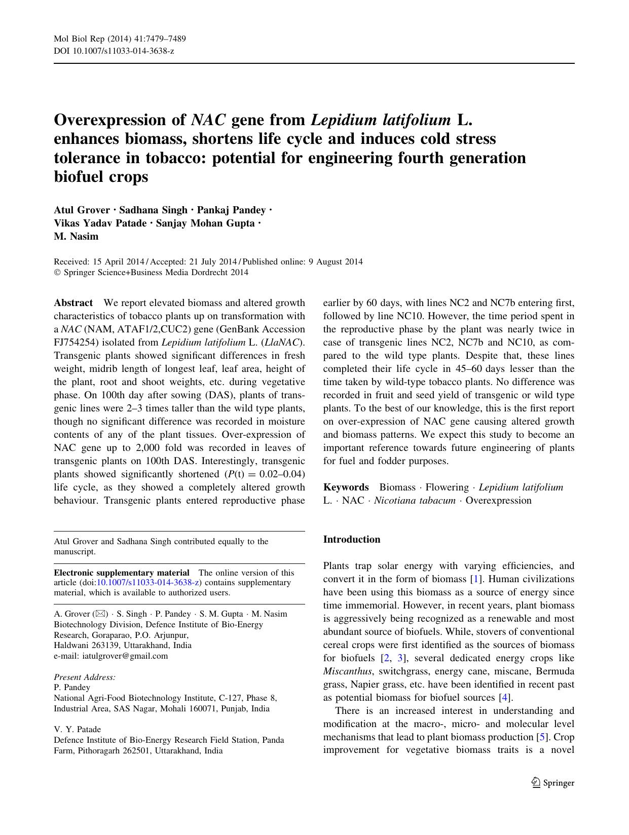 7479-7489 by Unknown