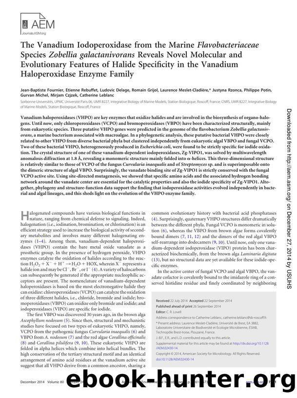 7561-7573 by Unknown