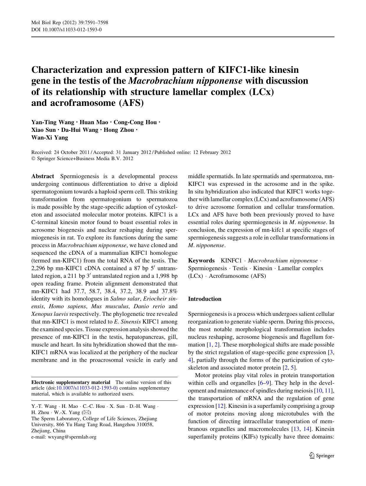 7591-7598 by Unknown