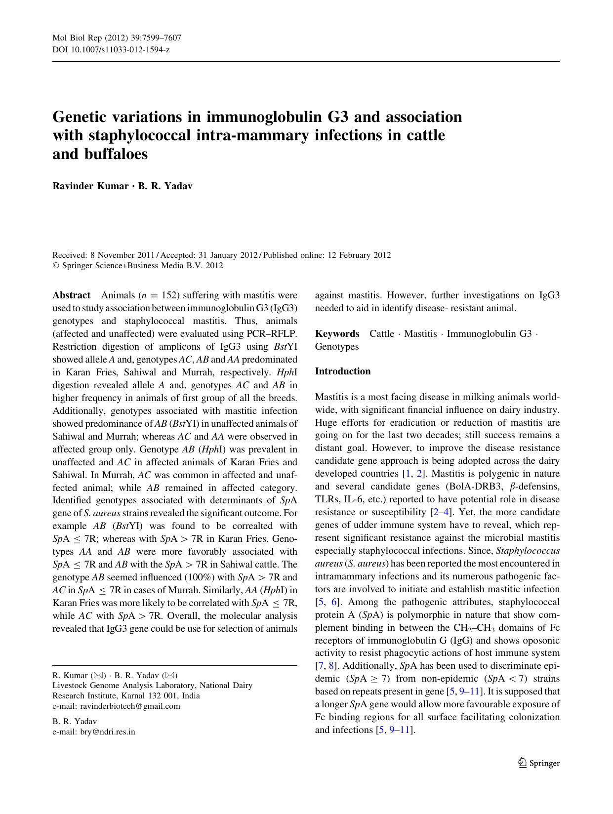 7599-7607 by Unknown