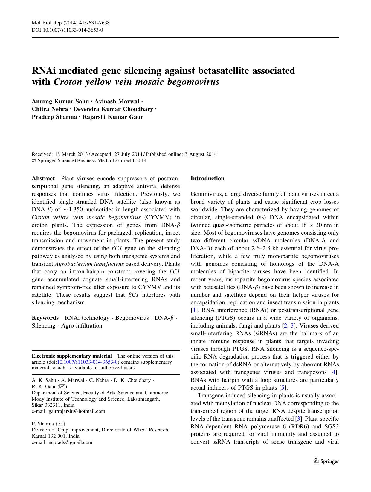 7631-7638 by Unknown