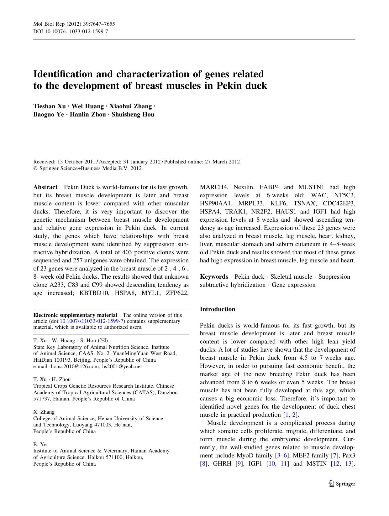 7647-7655 by Unknown