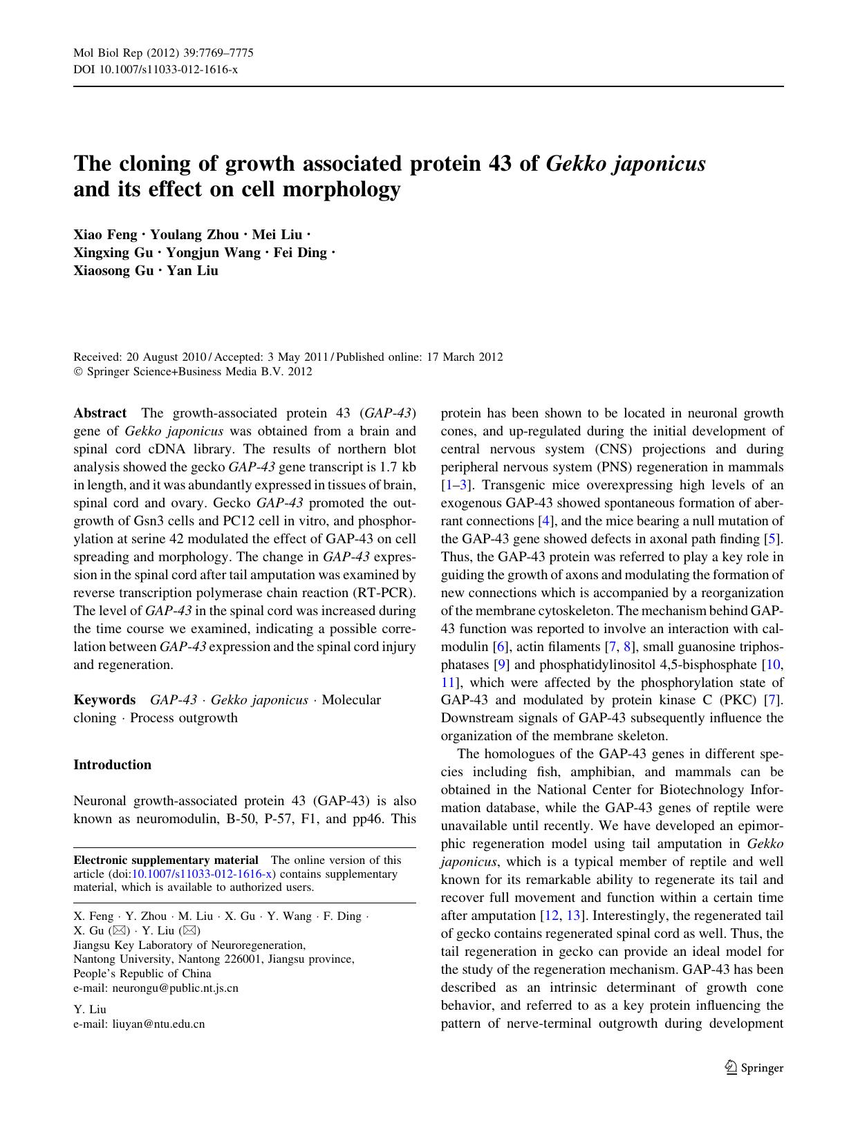 7769-7775 by Unknown