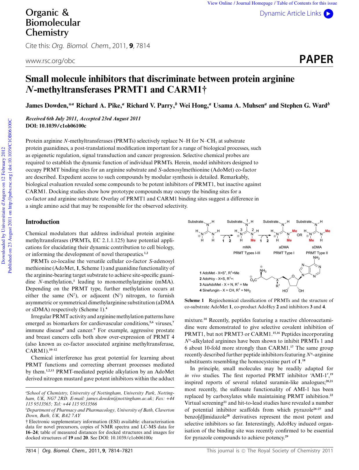 7814-7821 by Unknown