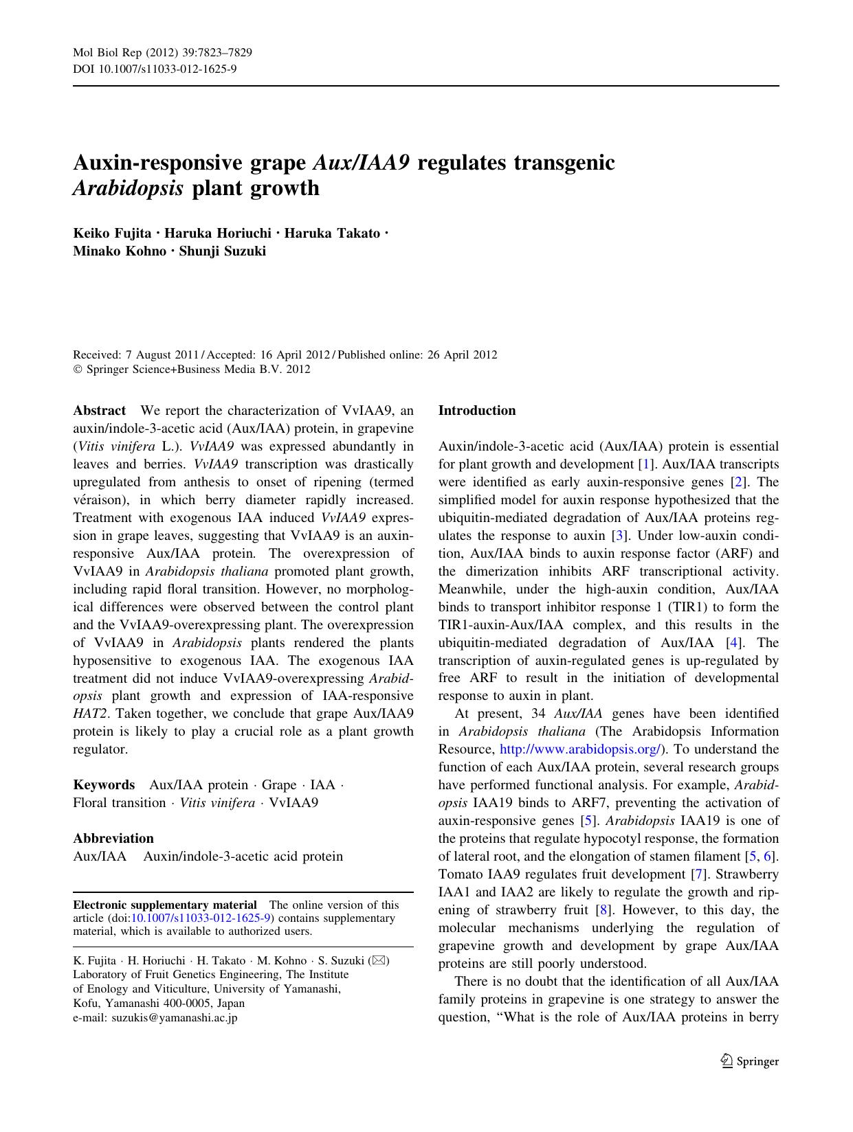 7823-7829 by Unknown