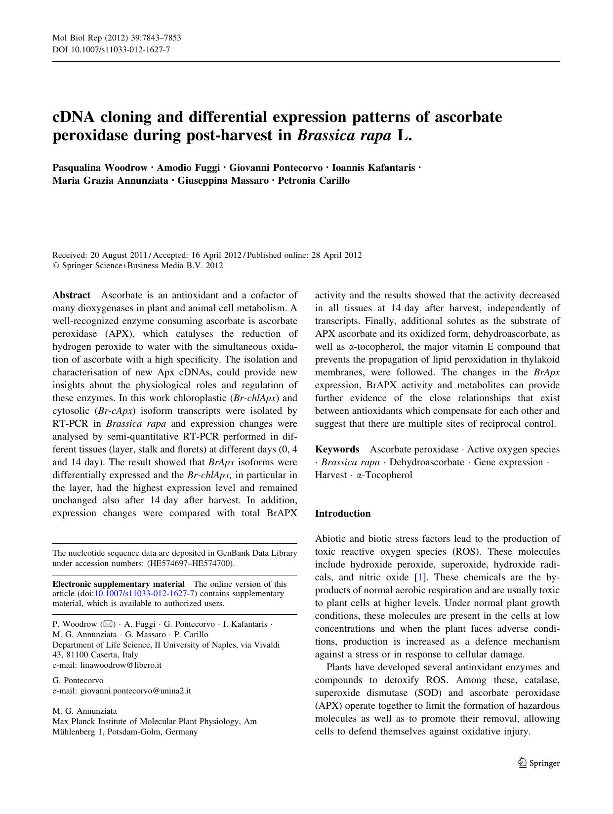 7843-7853 by Unknown