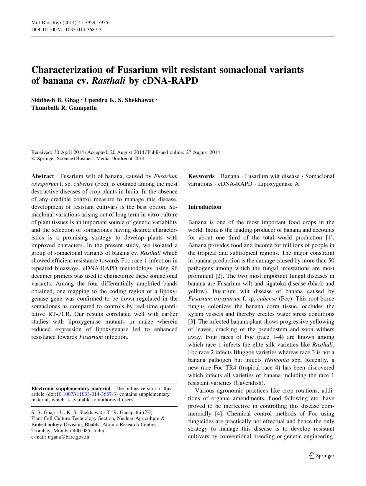 7929-7935 by Unknown