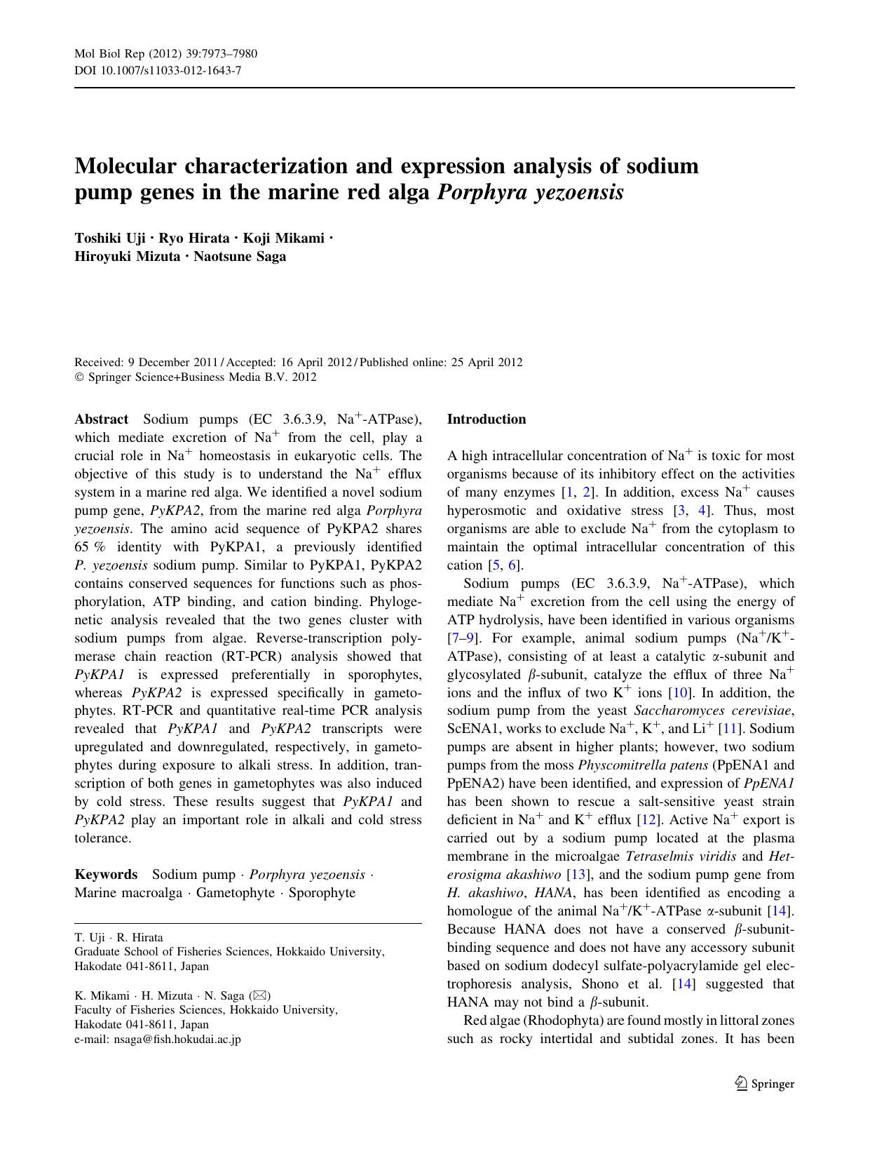 7973-7980 by Unknown