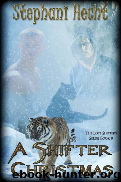 8 The Lost Shifters Series - A Shifter Christmas by Stephani Hecht
