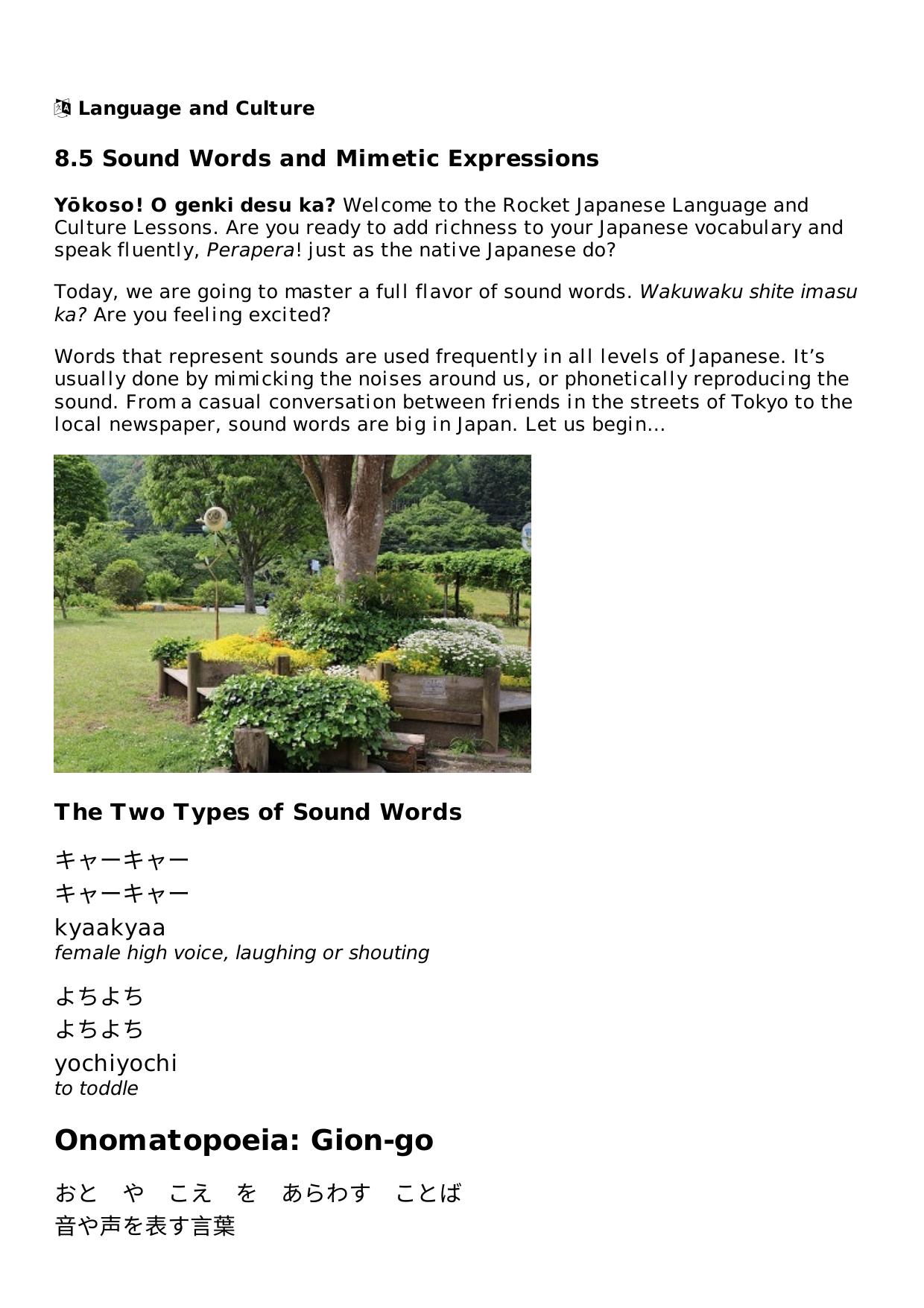 8.5 Sound Words and Mimetic Expressions Lesson | Rocket Japanese by Unknown