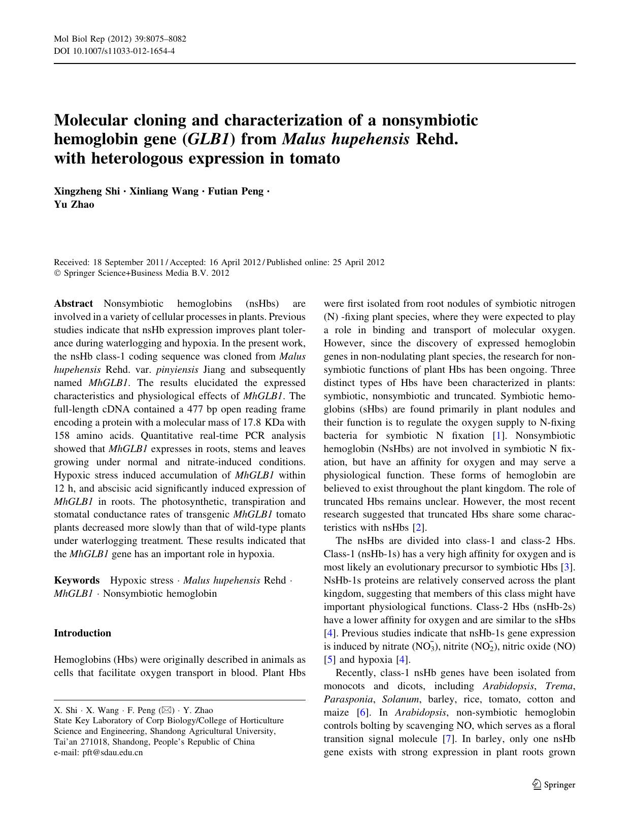 8075-8082 by Unknown