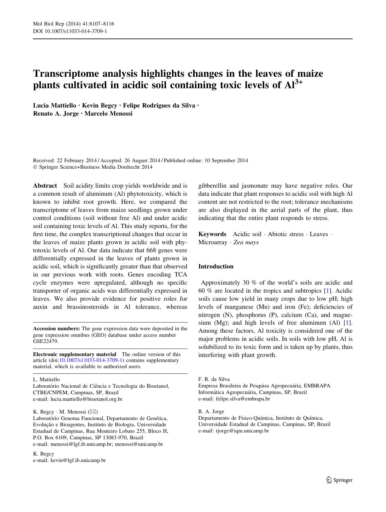 8107-8116 by Unknown